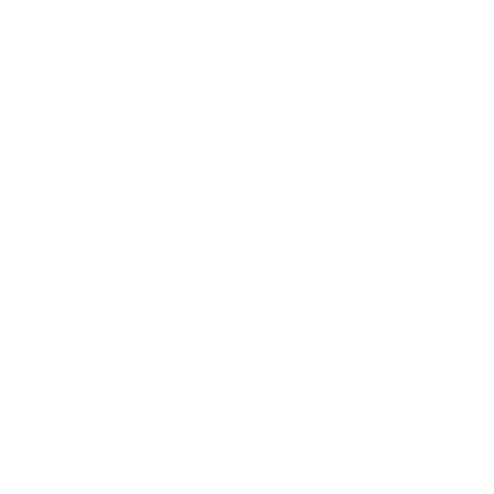 ISO icon - white